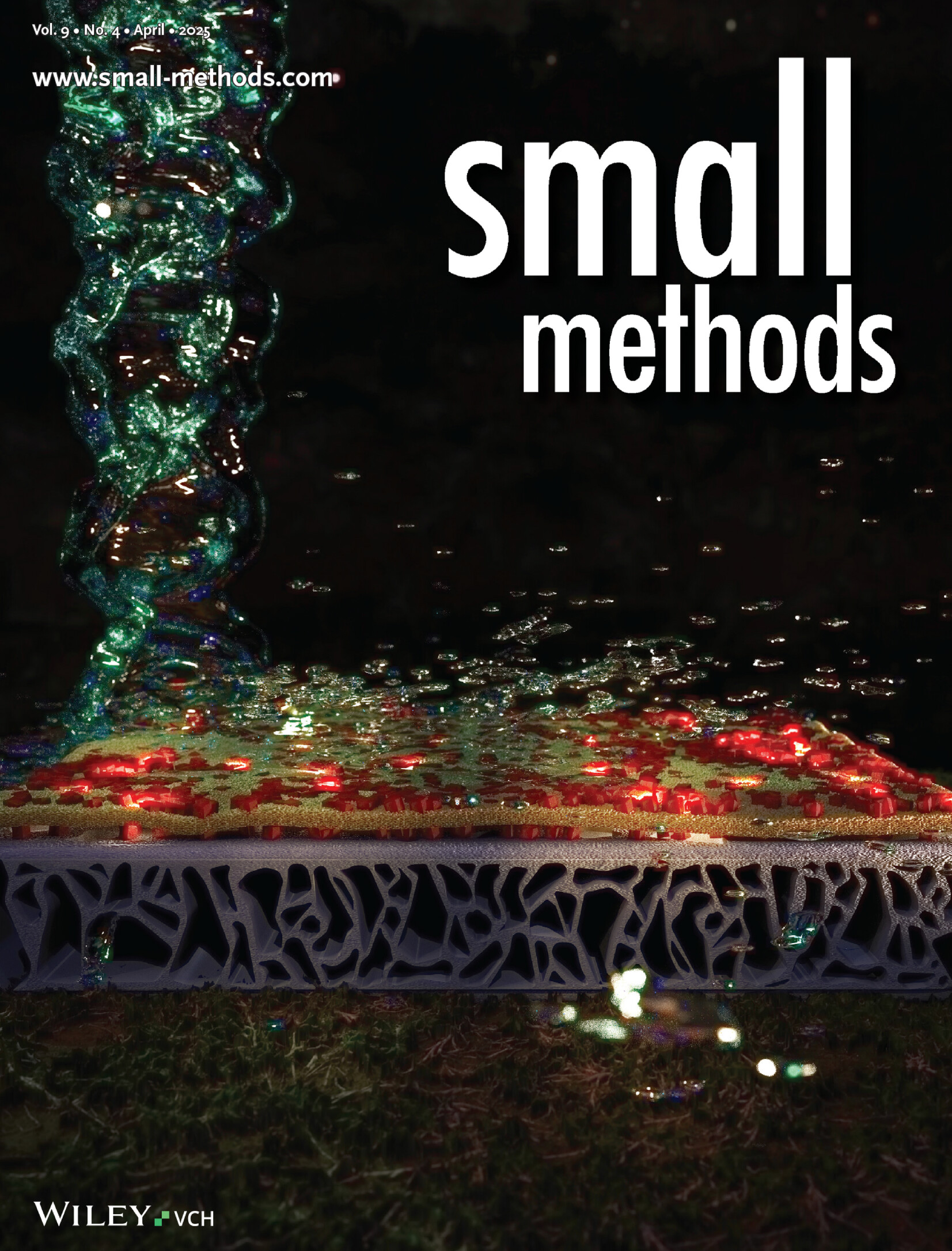 Small Methods2